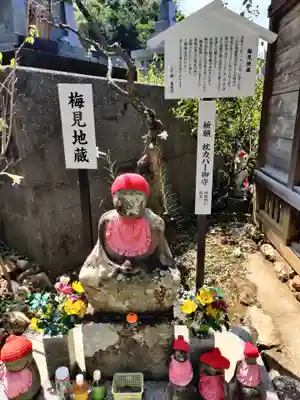 善楽寺(高知県)