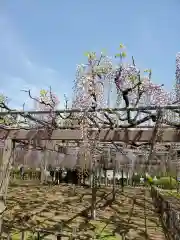 玉敷神社の庭園