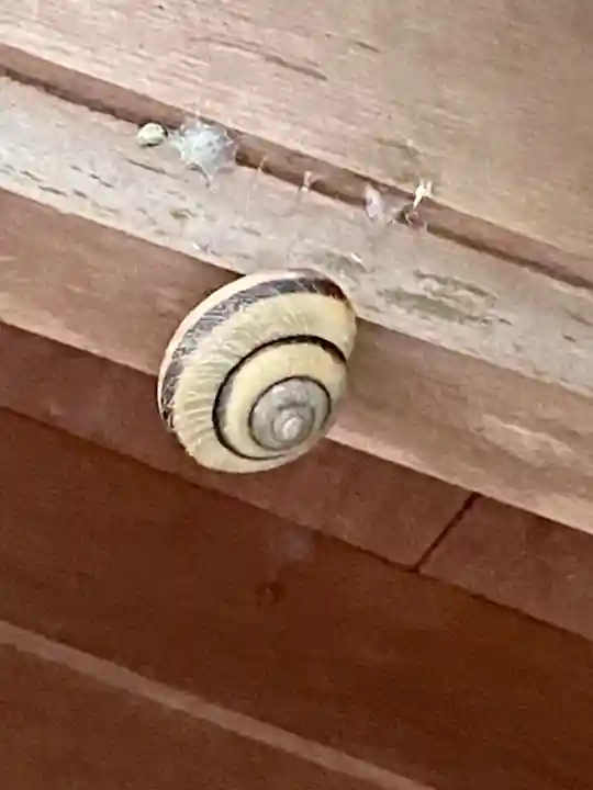 九頭竜大社(京都府)