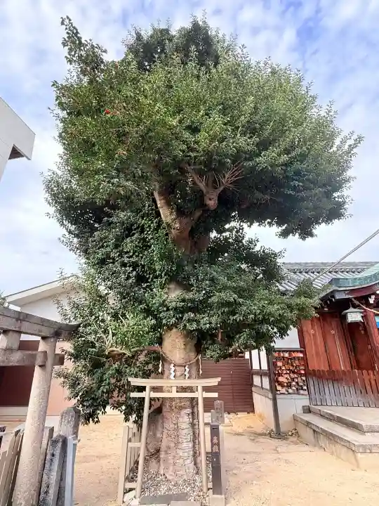 田島神社(大阪府)