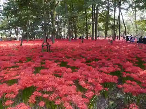 聖天院の自然