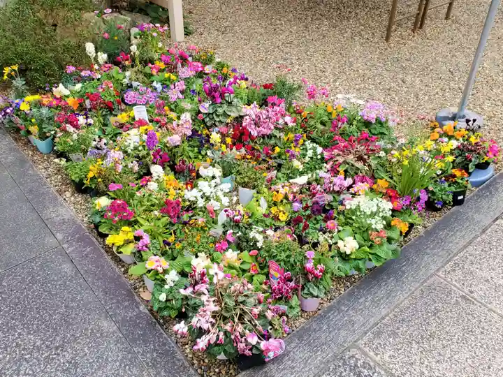 華蔵院(華藏院)の自然