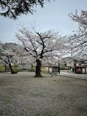 寛永寺(根本中堂)(東京都)