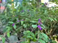 斗瑩稲荷神社の自然