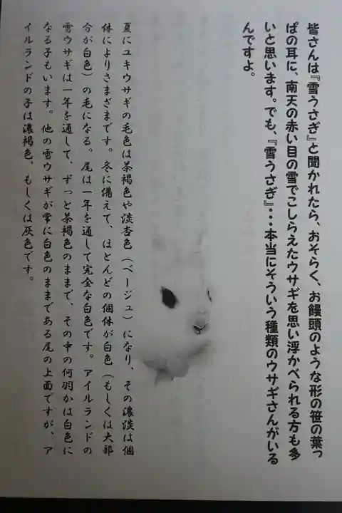 宇治上神社の授与品その他