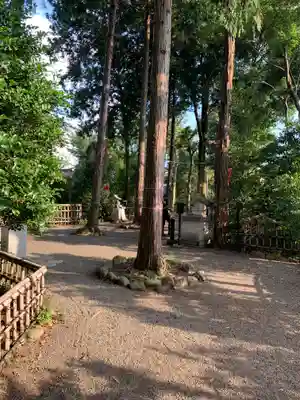 亀ケ池八幡宮のその他建物