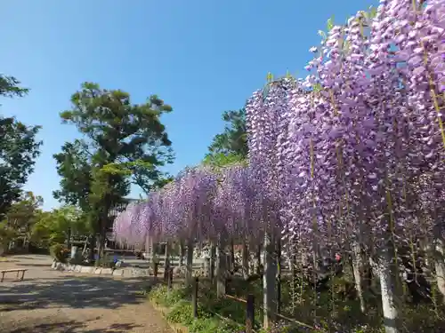三大神社のその他建物