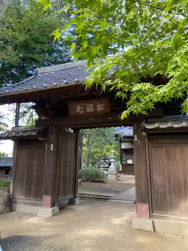 豪徳寺の山門