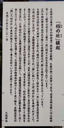 大歳神社(京都府)