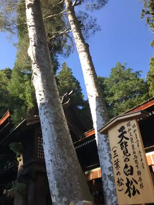 諏訪大社下社秋宮の自然