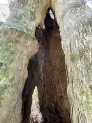 白鳥神社(徳島県)