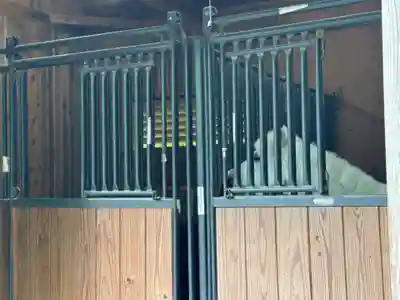 丹生川上神社（下社）(奈良県)