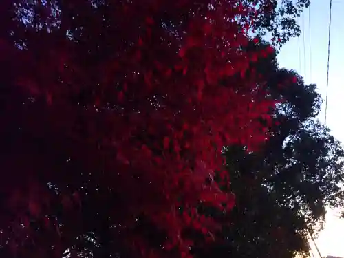 速谷神社(広島県)