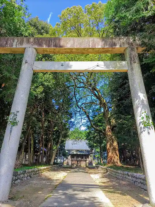 神明社(外坪神明社)の鳥居