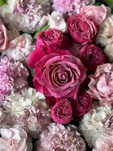 水無瀬神宮(大阪府)