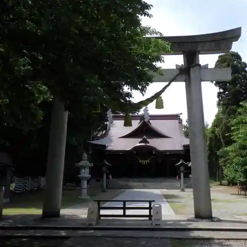 八心大市比古神社の鳥居