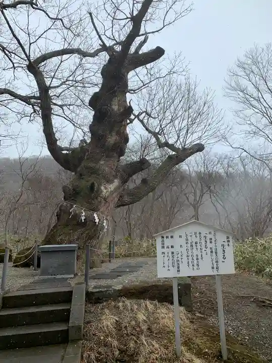 那須温泉神社の自然