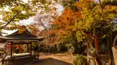 竹中稲荷神社（吉田神社末社）(京都府)