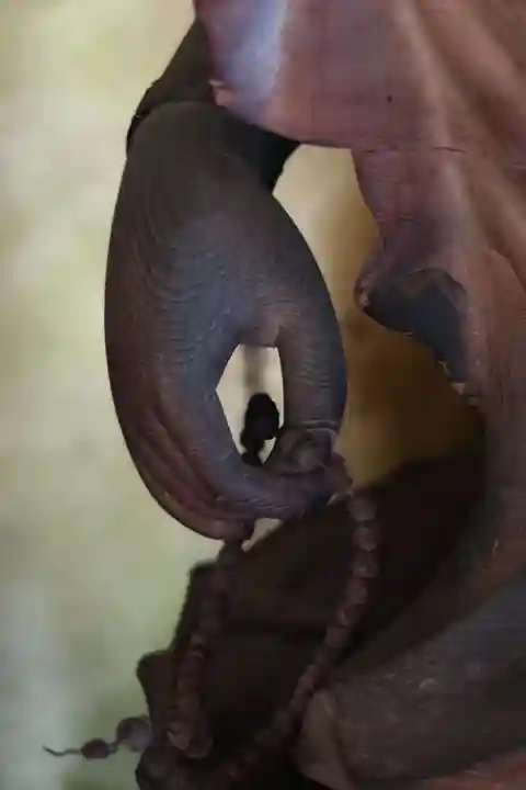 宗堅寺(京都府)