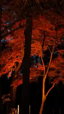 賀茂御祖神社（下鴨神社）(京都府)