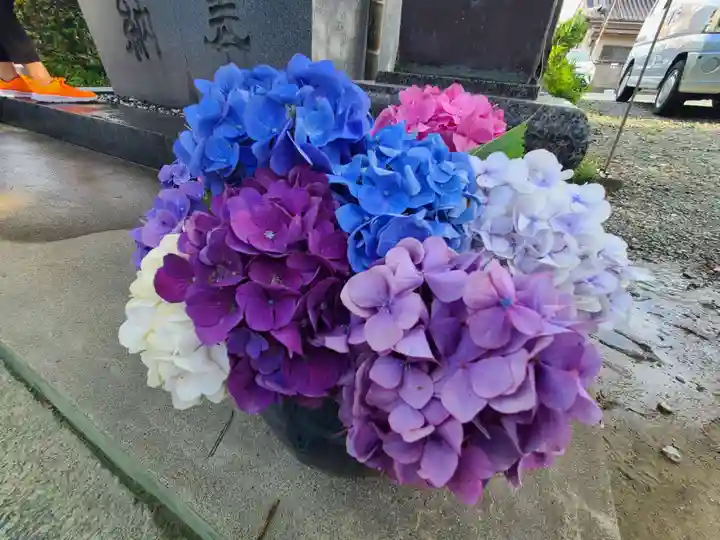 豊景神社の自然