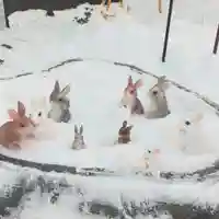 彌彦神社 (伊夜日子神社)の像