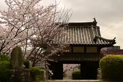 海禅寺(愛媛県)
