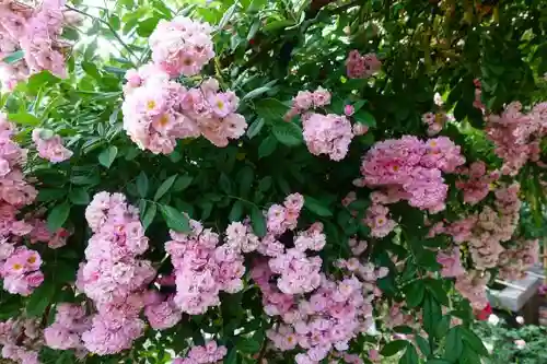 おふさ観音（観音寺）の庭園