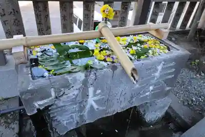 元町厳島神社の手水舎