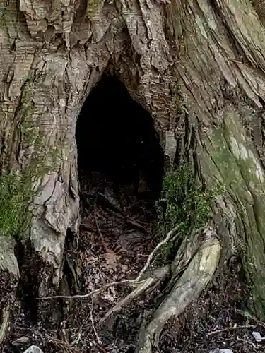 早池峰神社の自然