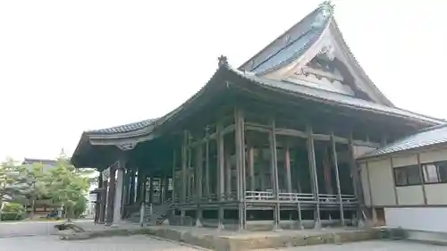 専照寺の本殿・本堂
