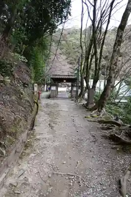 醍醐寺(上醍醐)(京都府)