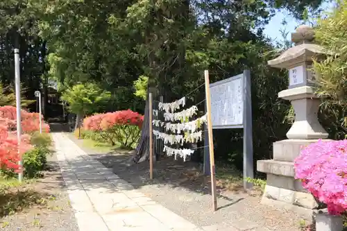 豊景神社の庭園