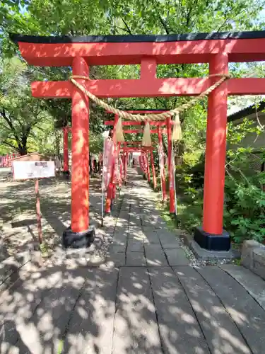 於菊稲荷神社の鳥居