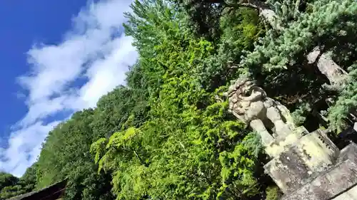 出雲大神宮の狛犬