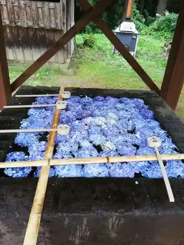 土津神社｜こどもと出世の神さまの手水