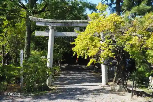 長浜八幡宮(滋賀県)