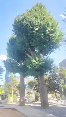 代田八幡神社(東京都)