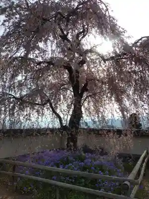 慈雲寺(山梨県)