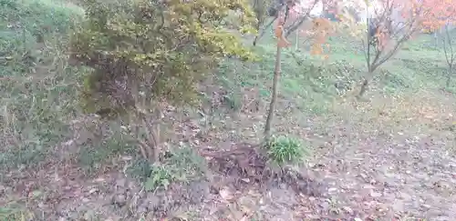 阿久津「田村神社」（郡山市阿久津町）旧社名：伊豆箱根三嶋三社の自然