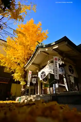 銀杏岡八幡神社(東京都)
