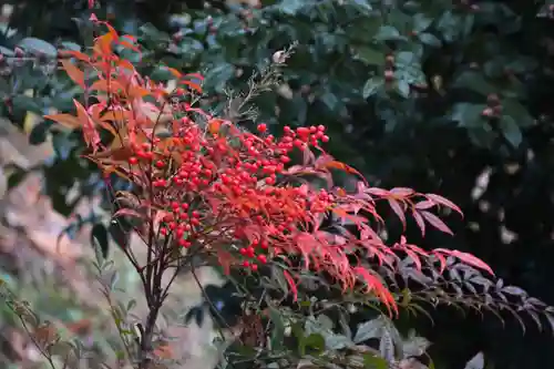 阿久津「田村神社」（郡山市阿久津町）旧社名：伊豆箱根三嶋三社の庭園