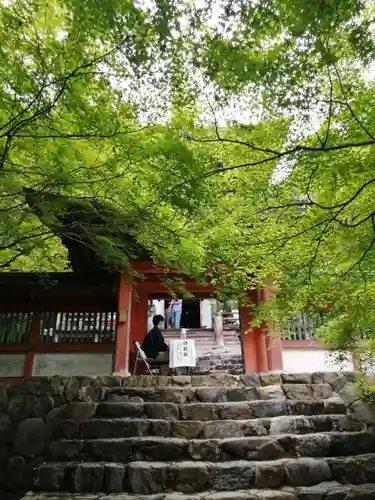 神護寺の山門