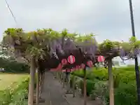 城ヶ入観音(愛知県)