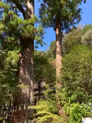 丹生川上神社（中社）(奈良県)