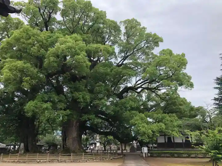 善導寺(福岡県)