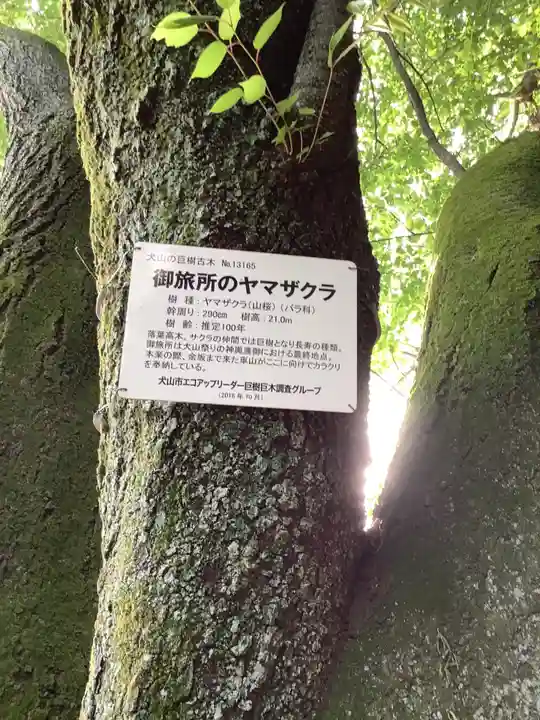 針綱神社 御旅所の自然
