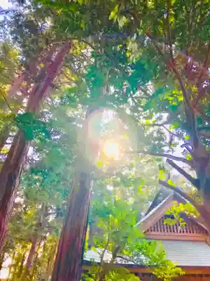 加波山三枝祇神社本宮のその他建物