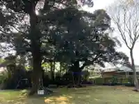 蓑毛神社(千葉県)