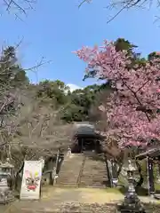 精矛神社(鹿児島県)